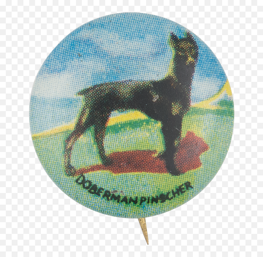 Doberman Pinscher Busy Beaver Button Museum - Dobermann Png,Doberman Png