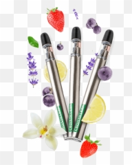 Cbdistillery Cbd Vape Pen U2013 200mg Flavor Burst Variety Three Pack - Strawberry Png,Vape Pen Png
