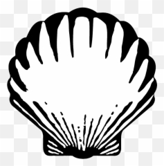 Royal Dutch Shell Logo Png Photo Image