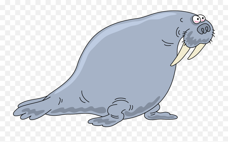 Clipart - Walrus Png,Walrus Png