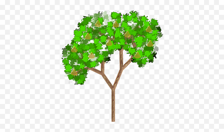 Pear Tree Png 900px Large Size - Clip Arts Free And Png Pear Tree Clip Art,Large Tree Png
