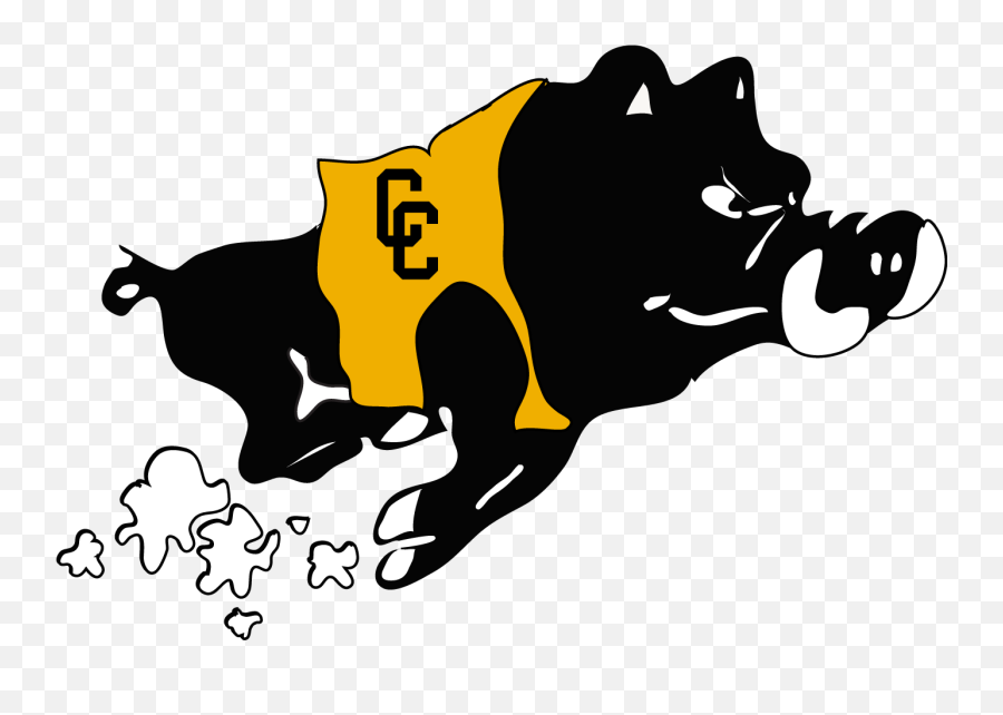 The Colquitt County Packers - Colquitt County High School Png,Packers Logo Png