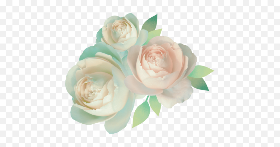 Png - Pastel Rose Transparent,Single Rose Png