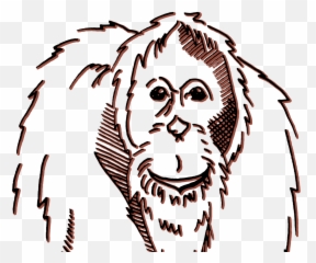 Bornean Orang By Liza Sansous - Illustration Png,Orang Png