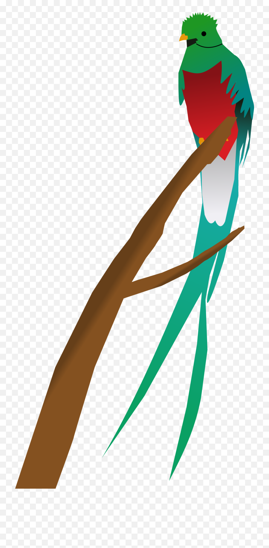 Quetzal - Art Png,Quetzal Png