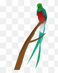 Quetzal - Art Png,Quetzal Png