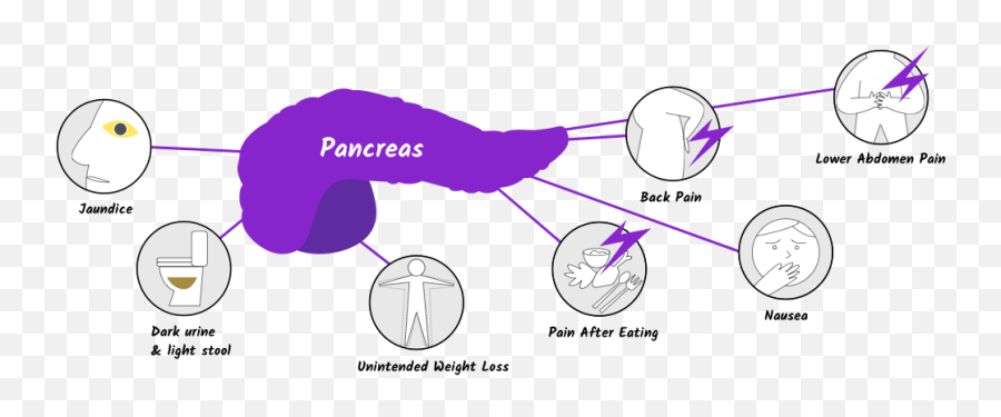 Symptoms Of Pancreatic Cancer - Dot Png,Symptom Icon