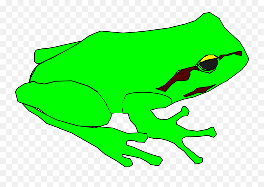 Filefrogsvg - Wikimedia Commons File Frog Svg Png,Transparent Frog