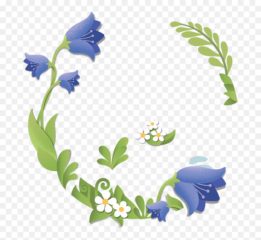 Goat Milk Baby Formula - New Zealand Made Bluebell Transparent Blue Bells Png,Virginia Bluebell Icon