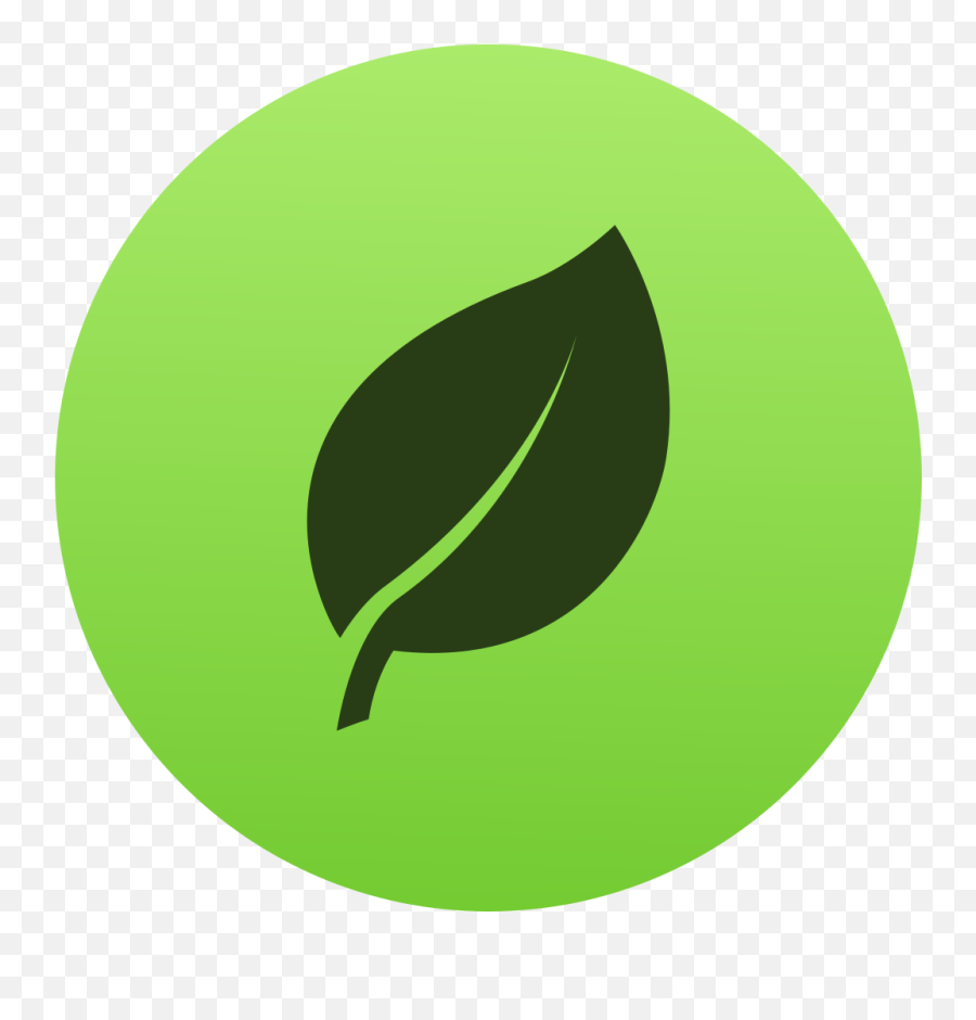 Mongodb A Complete Guide About With Node - Mongo Db Icon Svg Png,Replication Icon