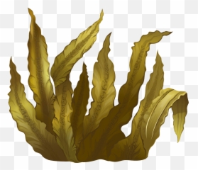 Kelp Seaweed Algae Deep - Transparent Seaweed Png,Algae Png