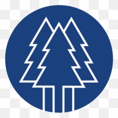 Altamit U2014 - Christmas Tree png