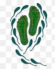 Aboriginal Footprints Green Transparent Background Greeting Card - Water png