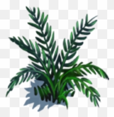 Fern Patch Castle Story Guide Wiki Fandom Png Icon