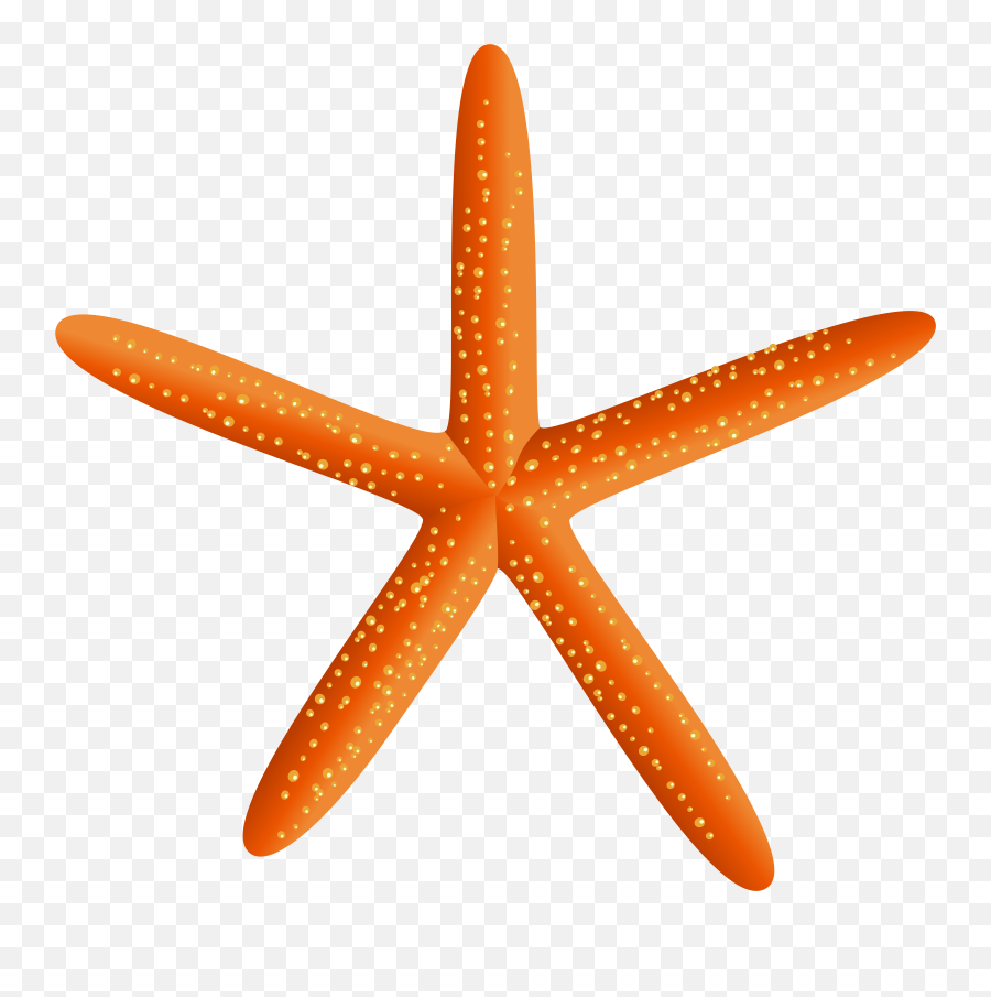 Clipart Beach Starfish Transparent Png Background