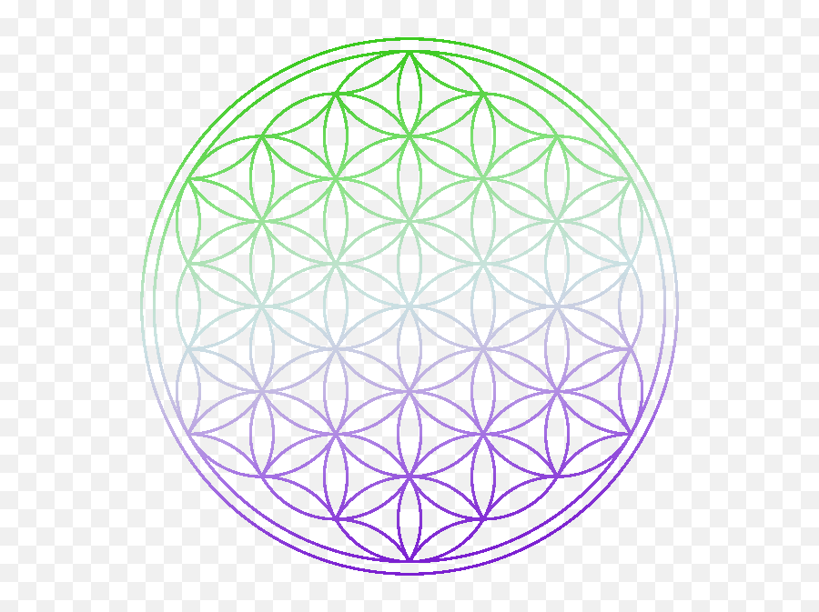 Contact Centeredsin - Flower Of Life Purple Png,Flower Of Life Png