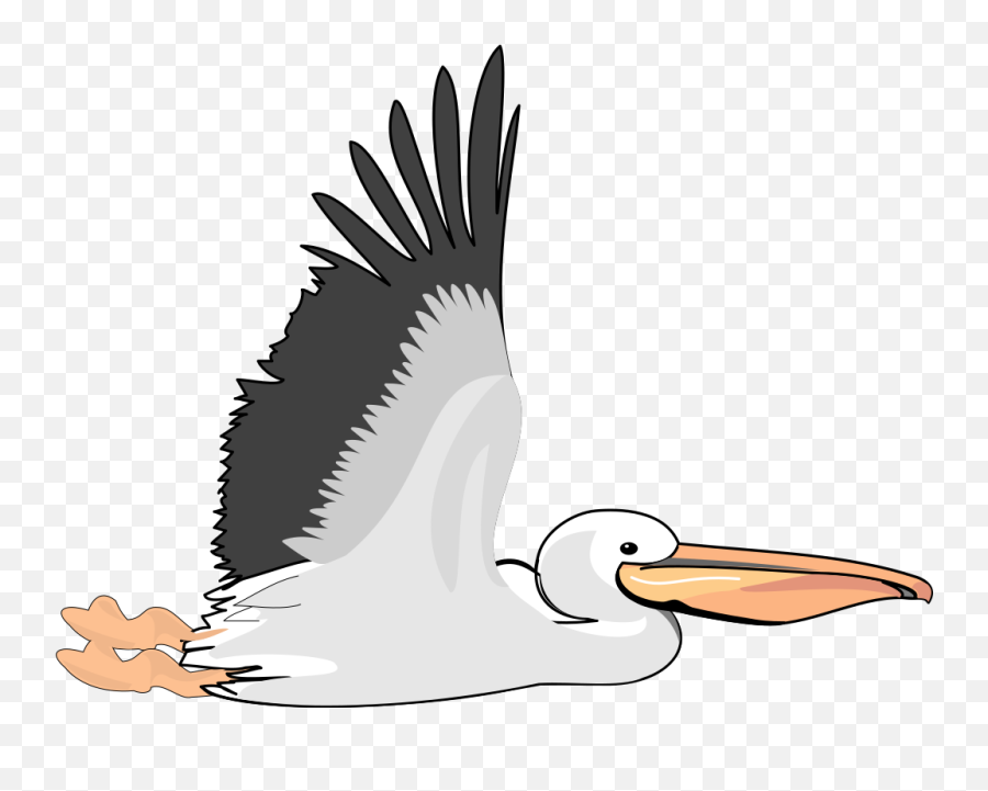 Pelican Png Svg Clip Art For Web - Flying Pelican Clip Art,Pelican Png