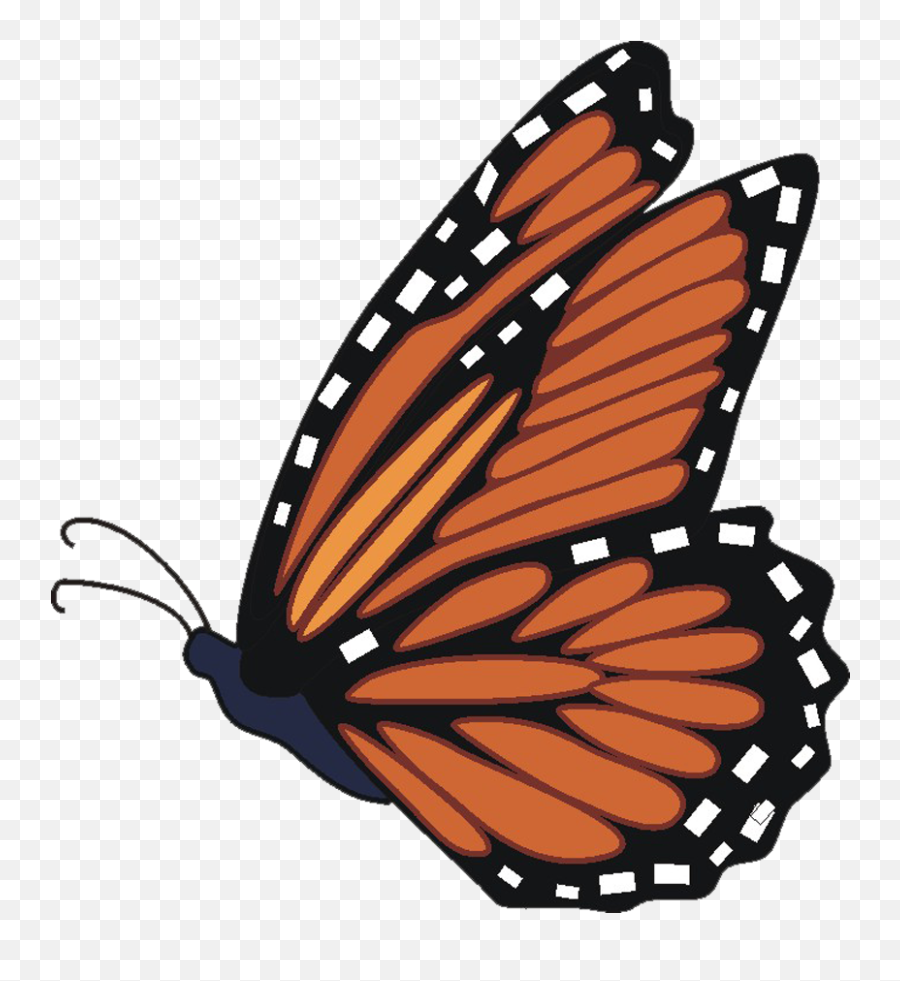Butterfly Transparent Free Clipart Download Clip - Monarch Butterfly Clip Art Png,Free Transparent Clipart