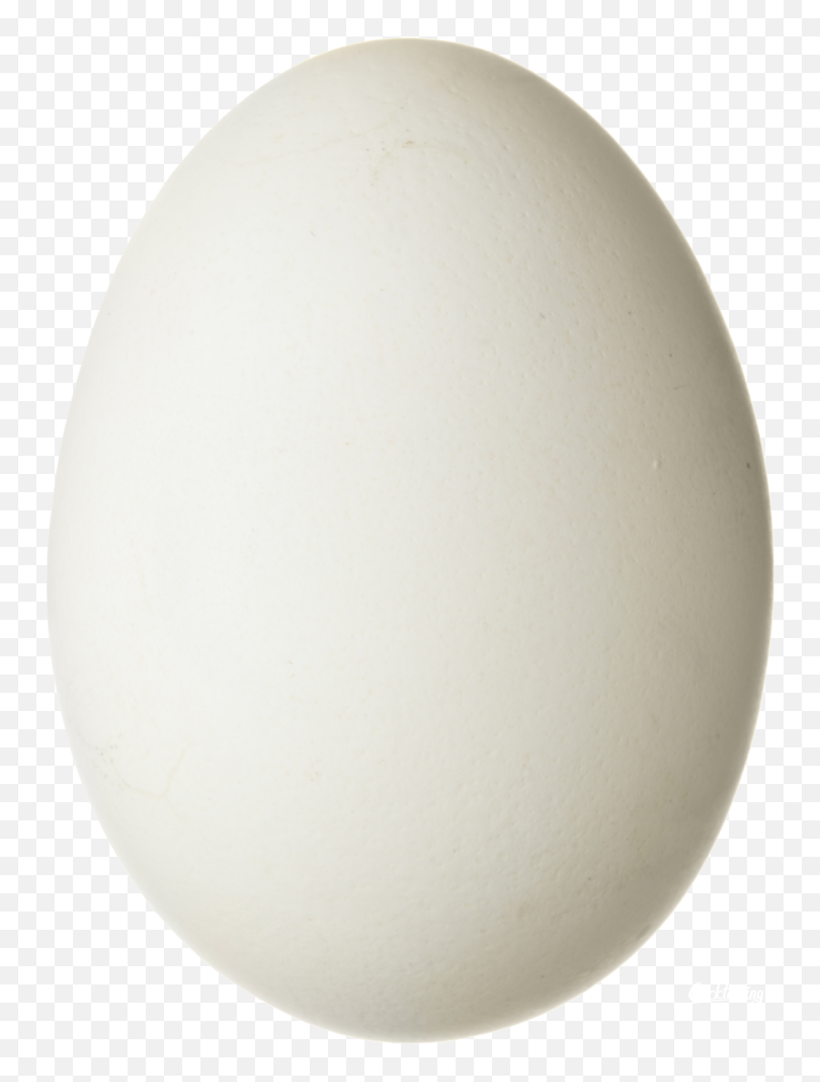 Png Egg - Egg,Eggs Transparent Background