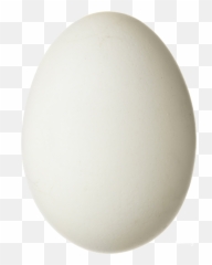 Egg PNG Transparent Images Free Download - Pngfre