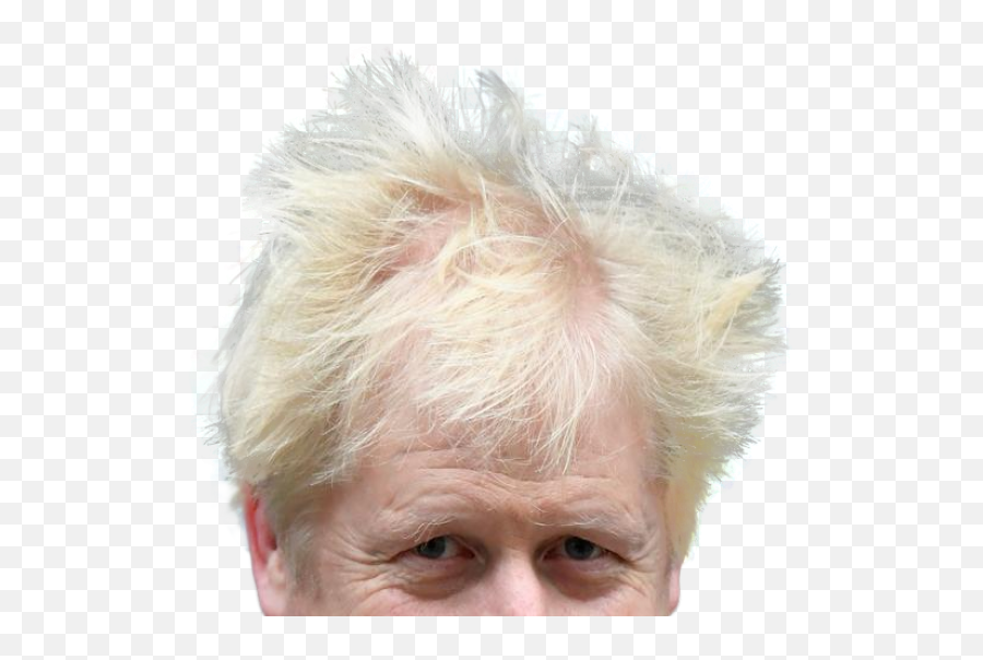 Boris Johnson Hair Show Png - Boris Johnson Transparent Background,Hair Transparent Background