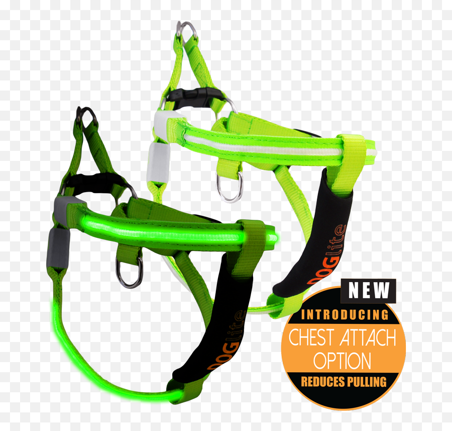 Mini Dog Led Harness - Green Glow Xs 3553cm Pet Harness Png,Green Glow Png