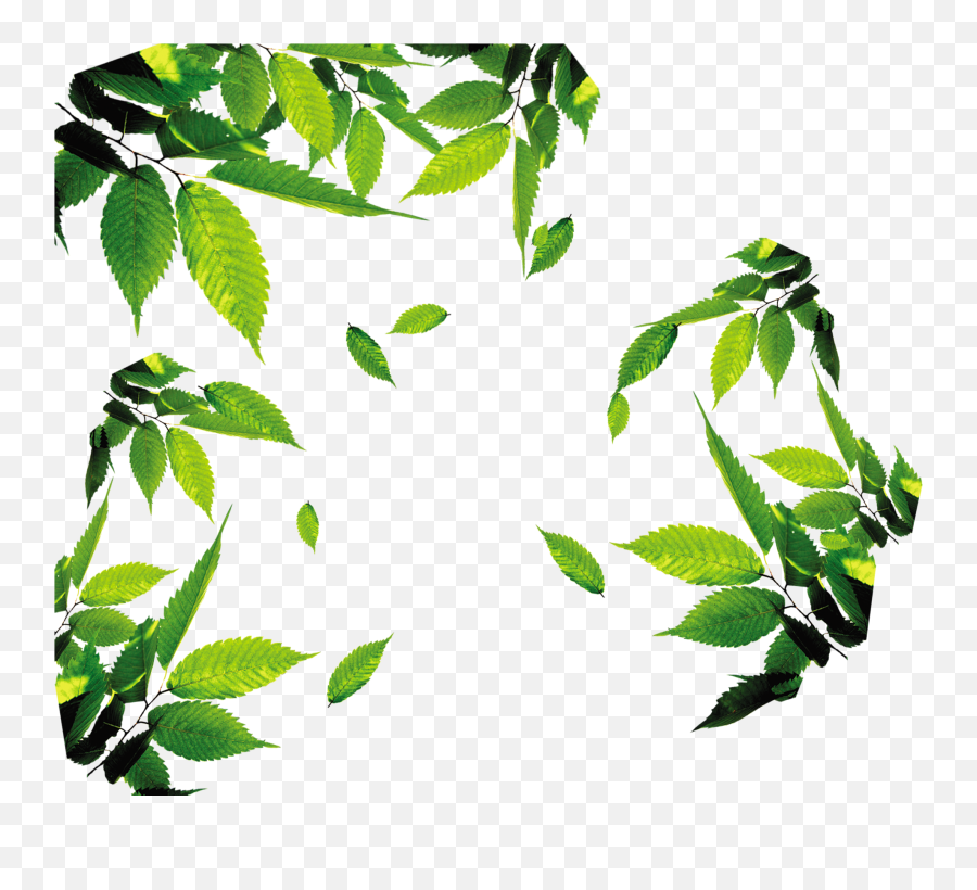 Leaf Download Icon - Leaves Png Clipart Full Size Clipart Leaves Png Transparent,Jungle Leaves Png