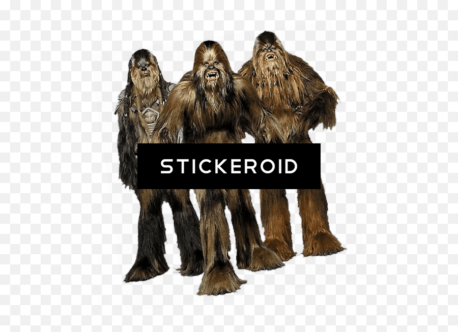 Star Wars Transparent Png Image - Integrantes De La Serie La Guerra De Las Galaxias,Chewbacca Png