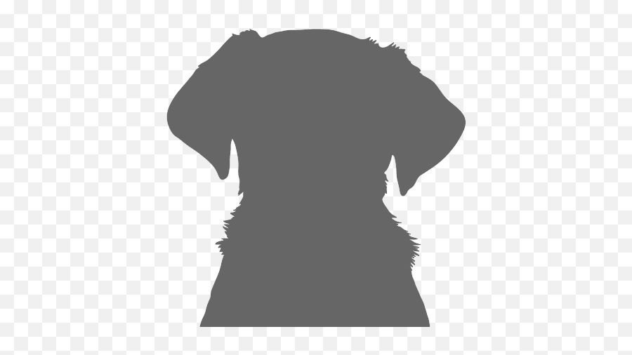 Rescue Dog Siberian Husky Jasmine Dogs Trust - Sitting Puppy Silhouette Png,Dog Silhouette Png