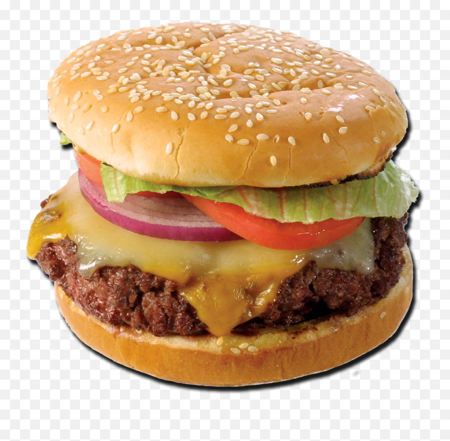 All Natural Rocky Mountain Elk Burger 1 Lb Bulk Or Patties - Elk Burger Png,Cheeseburger Transparent Background