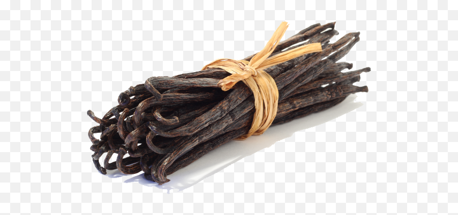 Vanilla Bean Transparent Picture Hq - Vanilla Beans Png,Vanilla Bean Png