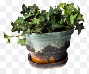 Download Hd Planter With Plant Turquoise - Brown Handmade Tea Strainer Png,Planter Png