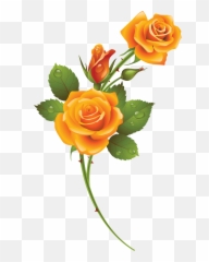 Yellow Rose Max Full Backgrounds Quality - Background Yellow Rose Png Transparent,Yellow Rose Png