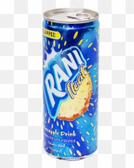 Rani Drink Pineapple Juice 240 Ml - png