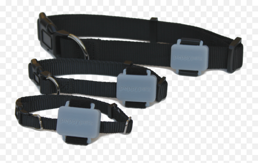 Peppypets - Portable Png,Dog Collar Png