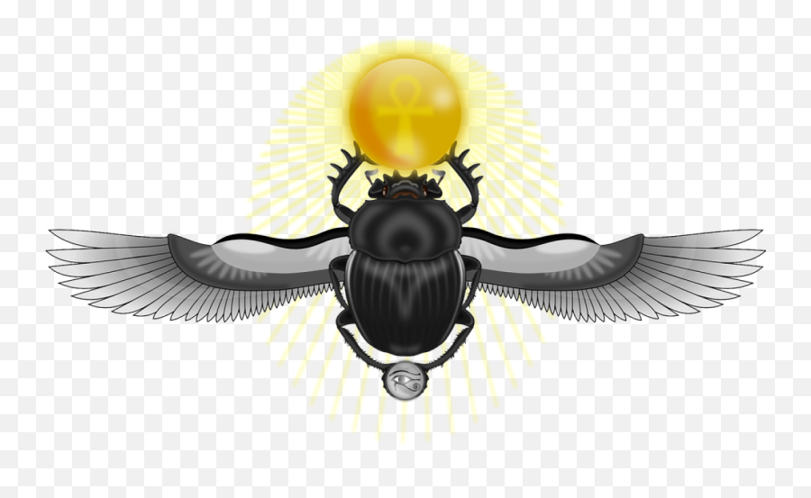 What Is The Meaning Of Scarab - Ancient Egypt Scarab Beetle Png,Blue Beetle Logo