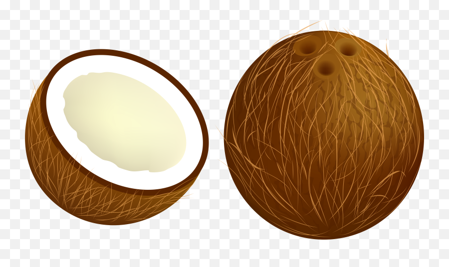 Picture Transparent Download Png Files Coconut