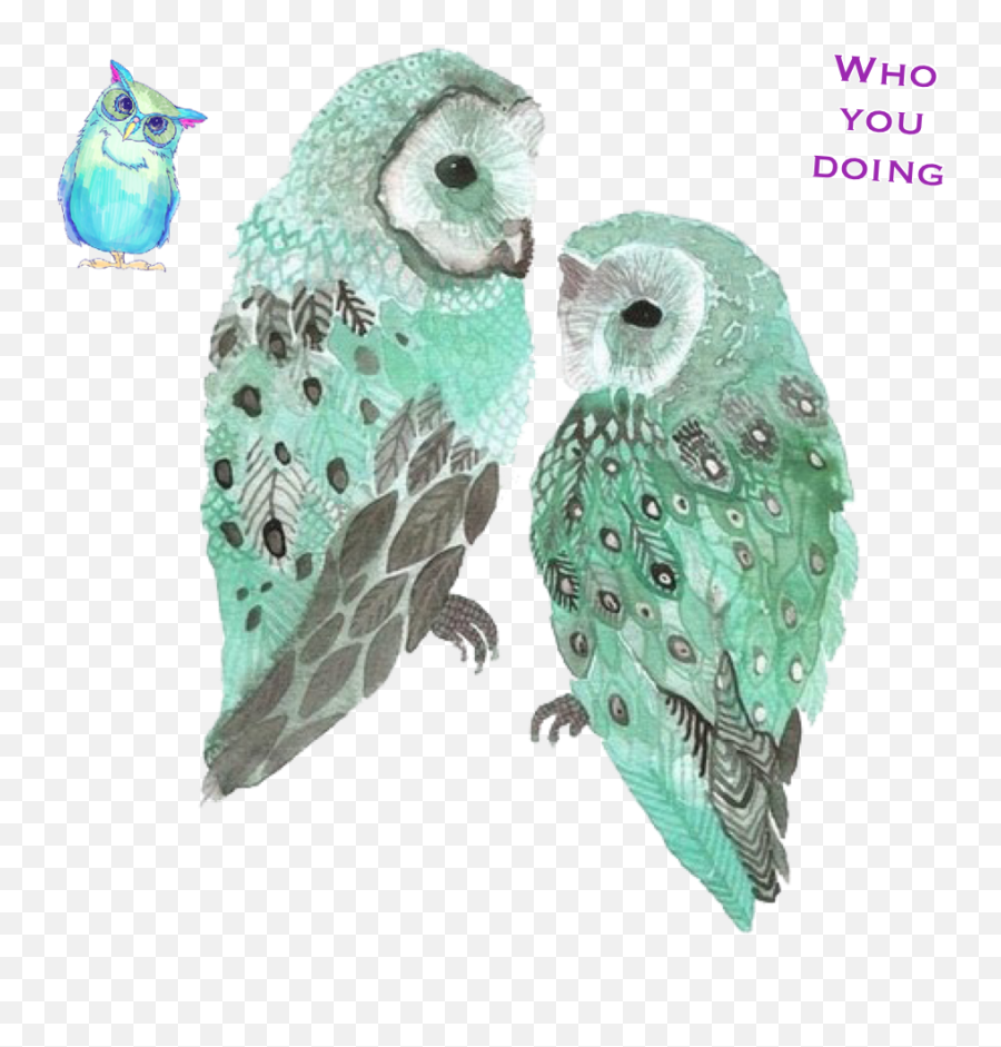 Ovo Owl Png - Imprimir Imagenes Para Decorar Cuadernos,Ovo Owl Png