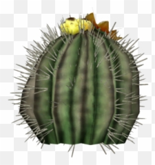 Barrel Cactus Fruit Fallout Wiki Fandom - New Vegas Plants png