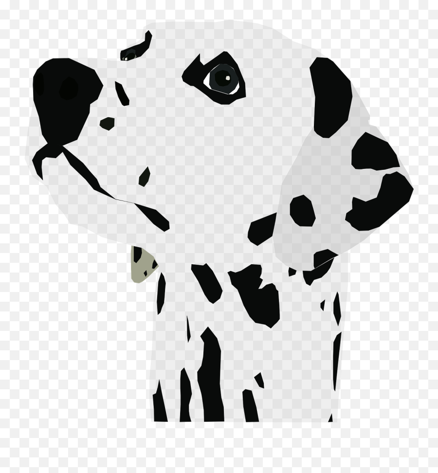 Dalmatian Dog Canine - Iron Rich Food For Dogs Png,Dalmatian Png