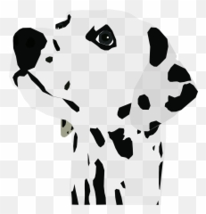 Dalmatian Dog Canine - Iron Rich Food For Dogs Png,Dalmatian Png