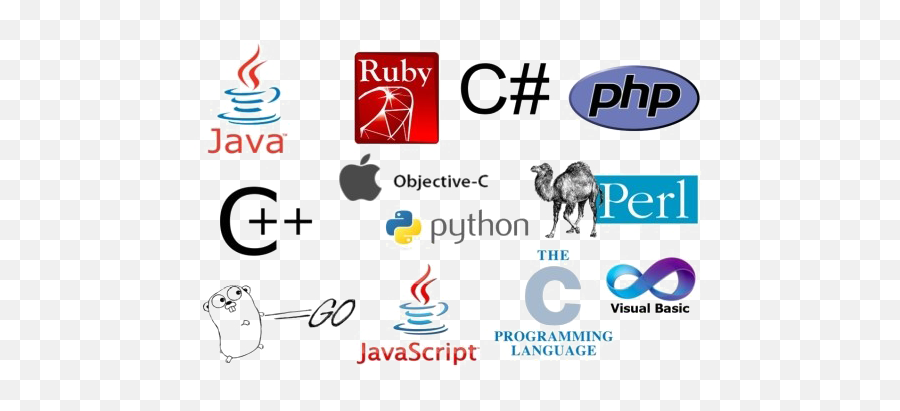 Programming Language Png Image - Backend Languages For Web Development,Language Png