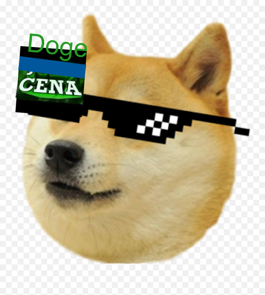 Get Rekt Glasses - Doge Emoji For Discord Png,Doge Transparent