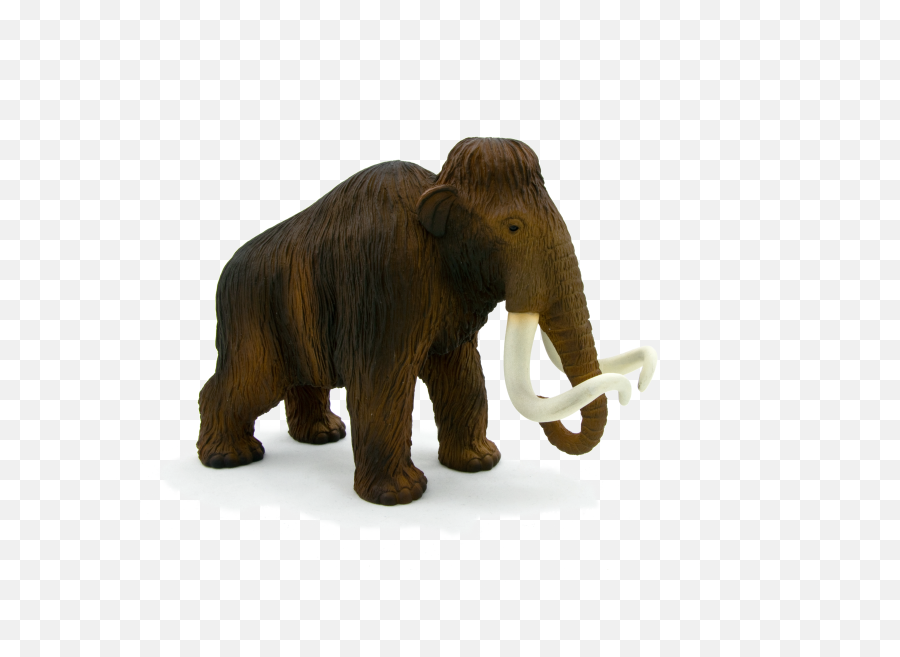 Download Animal Planet Wooly Mammoth Png Image With No - Woolly Mammoth Transparent Background,Animal Planet Logo Png