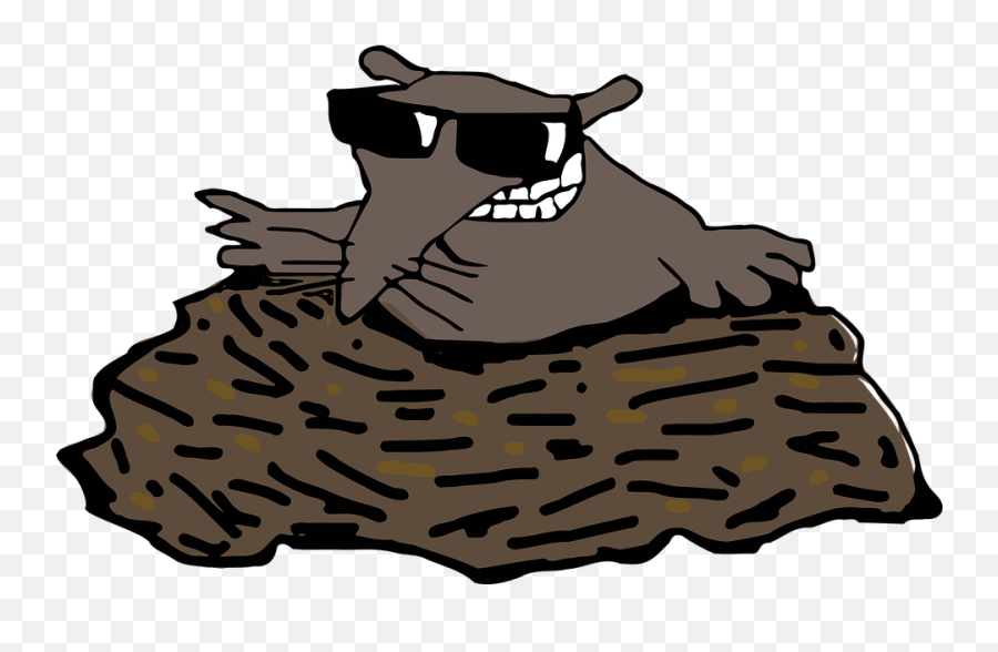 Png Mole Transparent - Mole Png,Cartoon Sunglasses Png