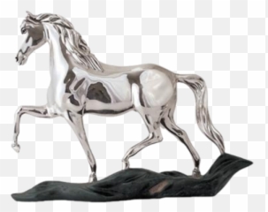 Dargenta Careers Du0027argenta Unique Gifts Home Decor - Mustang png