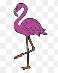 Httpsimgurcomgallerynf1zors Daily - Girly png