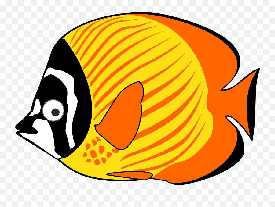 Tropical Ocean Fish Free Svg - Clip Art Sea Creatures Png,Ocean Fish Png