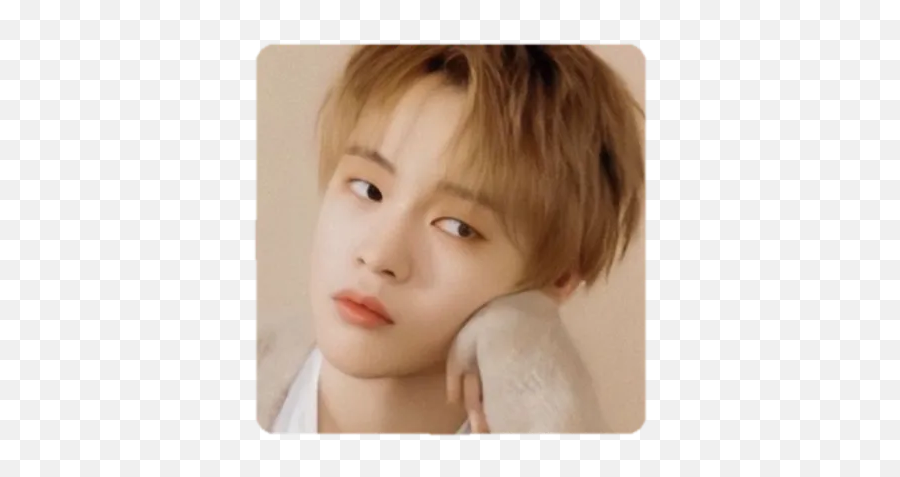 Jaemin By Kathaleena - Sticker Maker For Whatsapp Zhong Chenle November 29 Png,Taeyong Icon