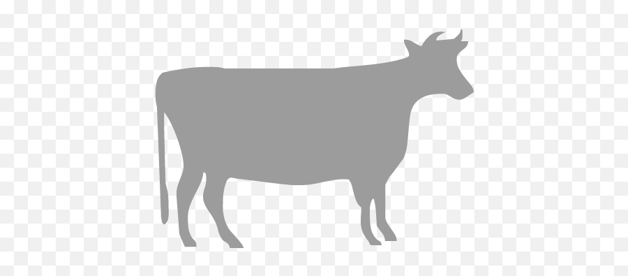 Beef Cattle Silhouette Stencil Dairy Photography - Cow Vector Icon Png,Cow Face Icon